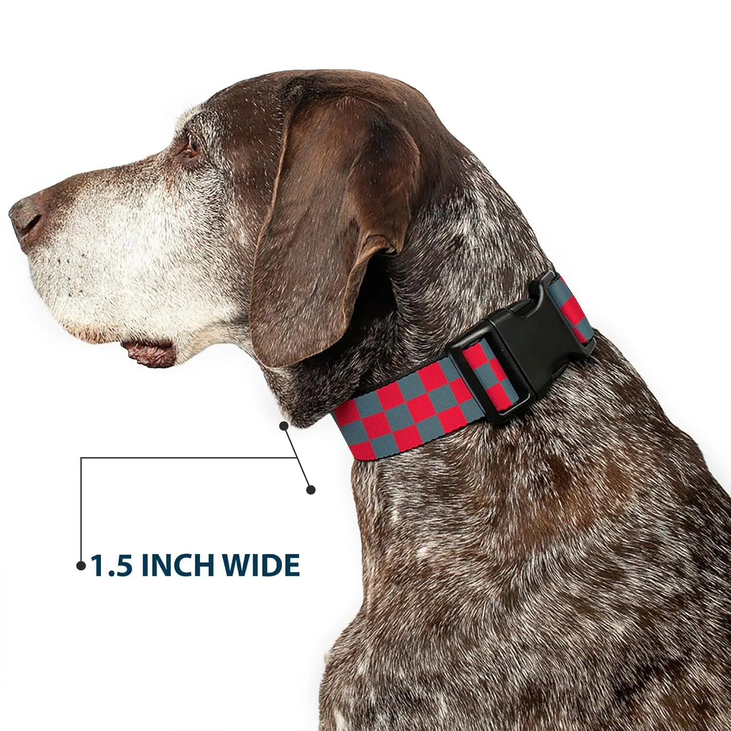 Buckle-Down Plastic Clip Collar - Checker Crimson Red/Gray - 1" Wide - Fits 11-17" Neck - Medium