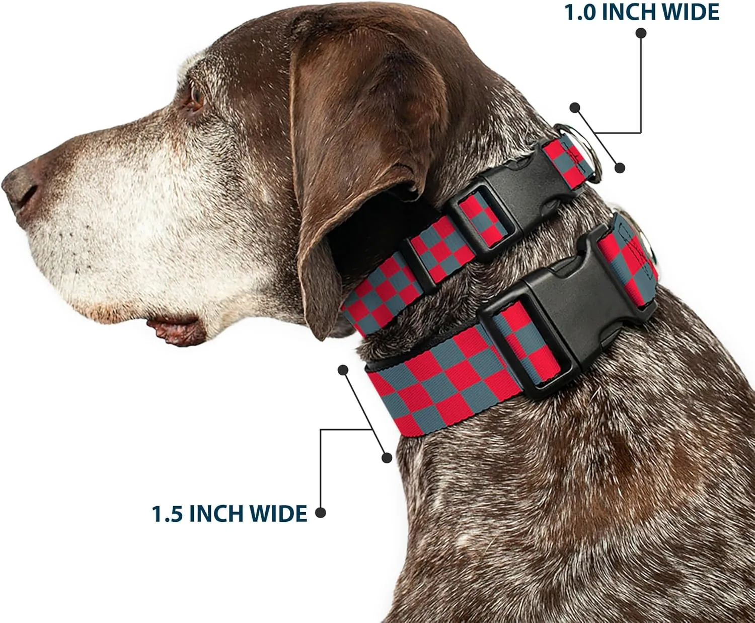 Buckle-Down Plastic Clip Collar - Checker Crimson Red/Gray - 1" Wide - Fits 11-17" Neck - Medium
