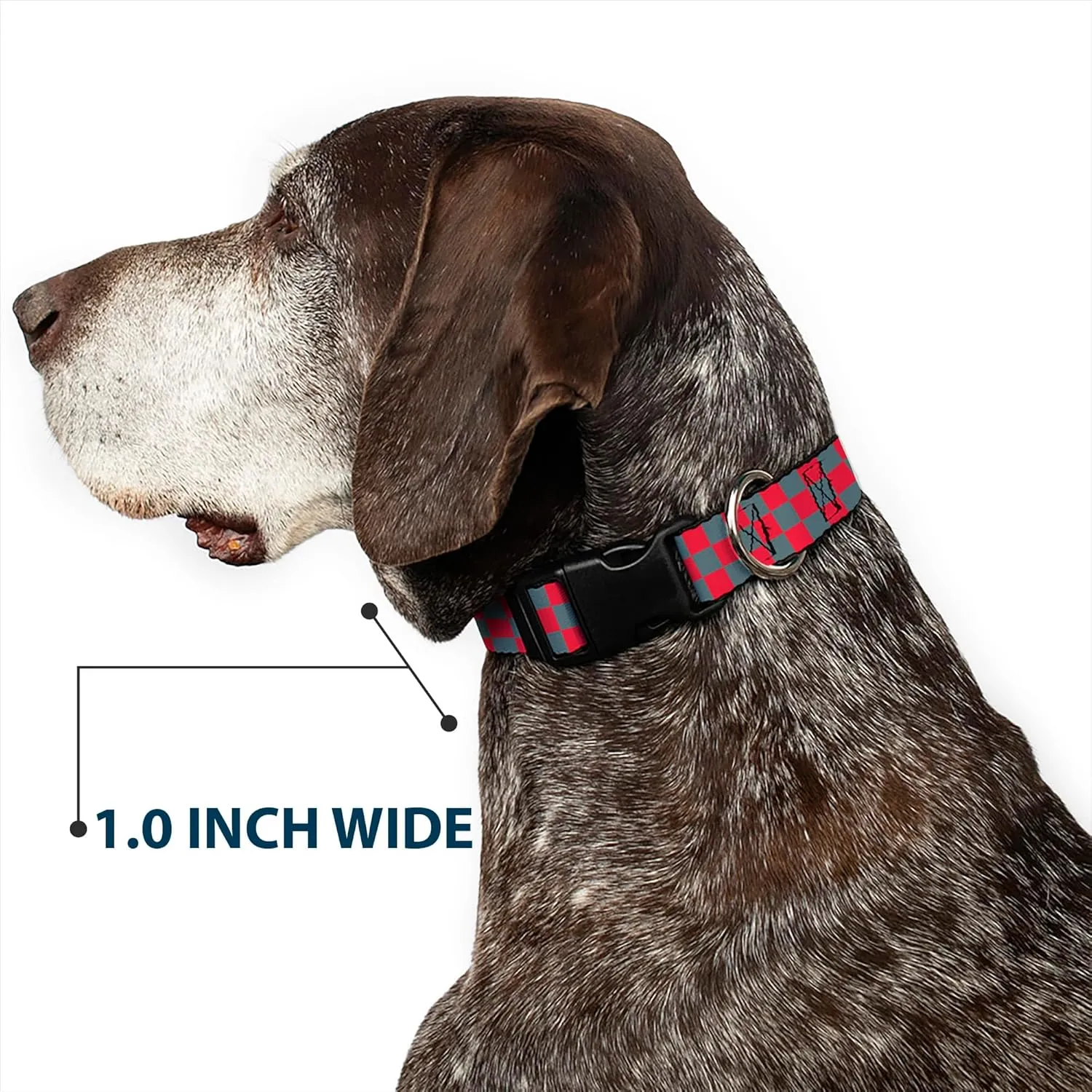 Buckle-Down Plastic Clip Collar - Checker Crimson Red/Gray - 1" Wide - Fits 11-17" Neck - Medium