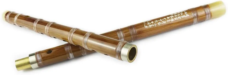 D Key Dizi Bitter Bamboo Flute for Beginners with Free Membrane & Glue & Protector Set Traditional Chinese Instrument（Key of D/Bitter Bamboo）