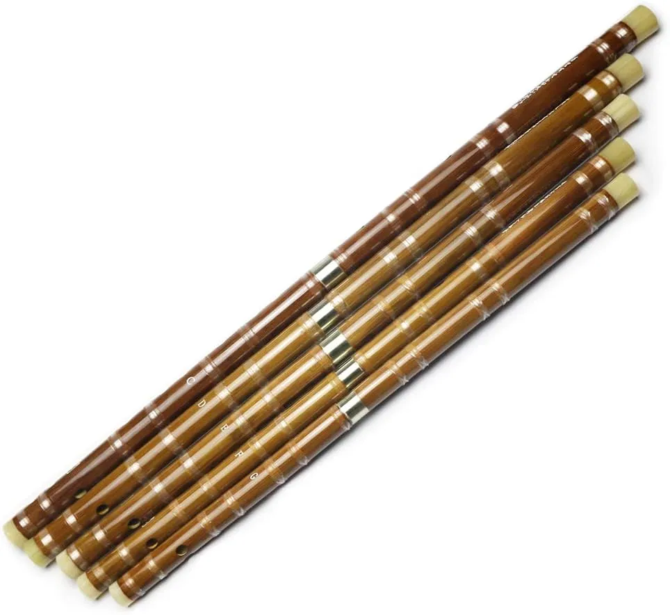 D Key Dizi Bitter Bamboo Flute for Beginners with Free Membrane & Glue & Protector Set Traditional Chinese Instrument（Key of D/Bitter Bamboo）
