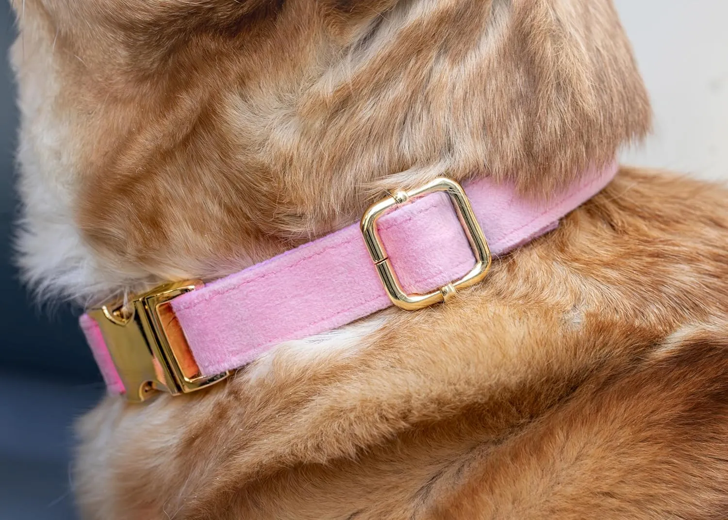 Dog Bark Collar,Dog Training Collar with remote-2600 ft,Non Shock,Adjustable Fit,for Small,Medium,Large Dogs, Advanced Technology with Remote, Automatic Bark Collar, Rechargeable,Anti-Barking,Pink