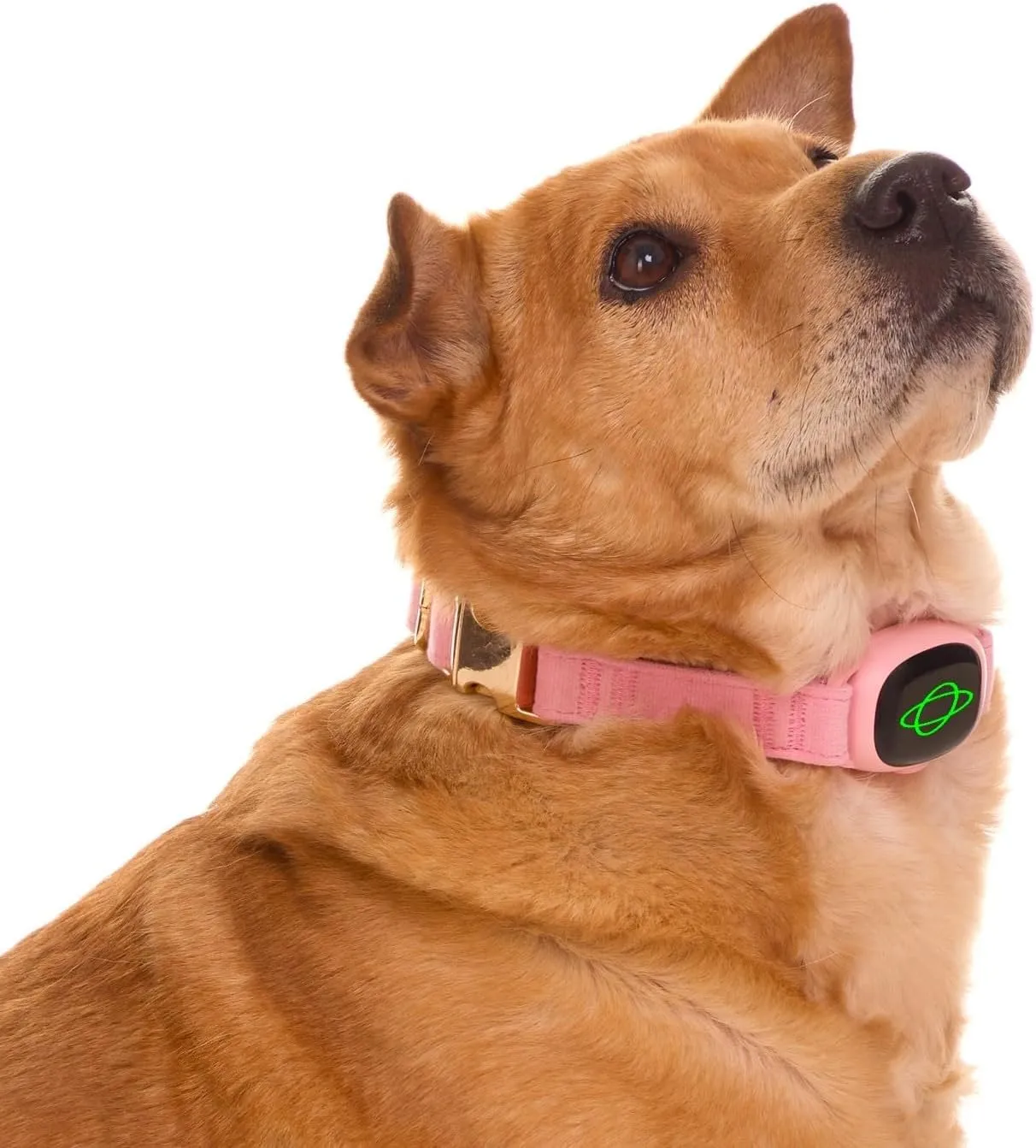 Dog Bark Collar,Dog Training Collar with remote-2600 ft,Non Shock,Adjustable Fit,for Small,Medium,Large Dogs, Advanced Technology with Remote, Automatic Bark Collar, Rechargeable,Anti-Barking,Pink