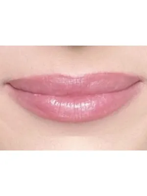 FRAME IT LIP LINER - Holly Berry