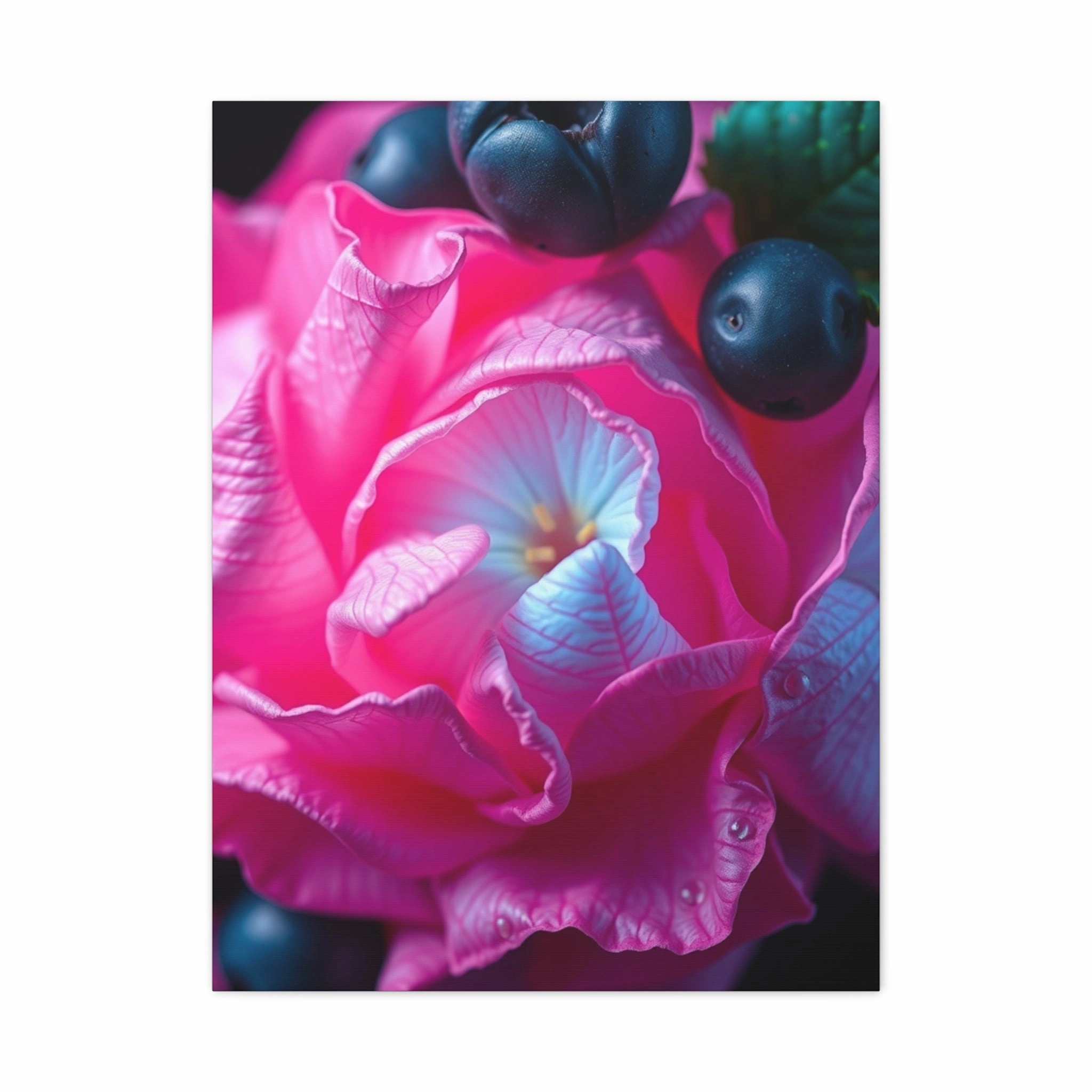 Fuchsia Azure Masterpiece