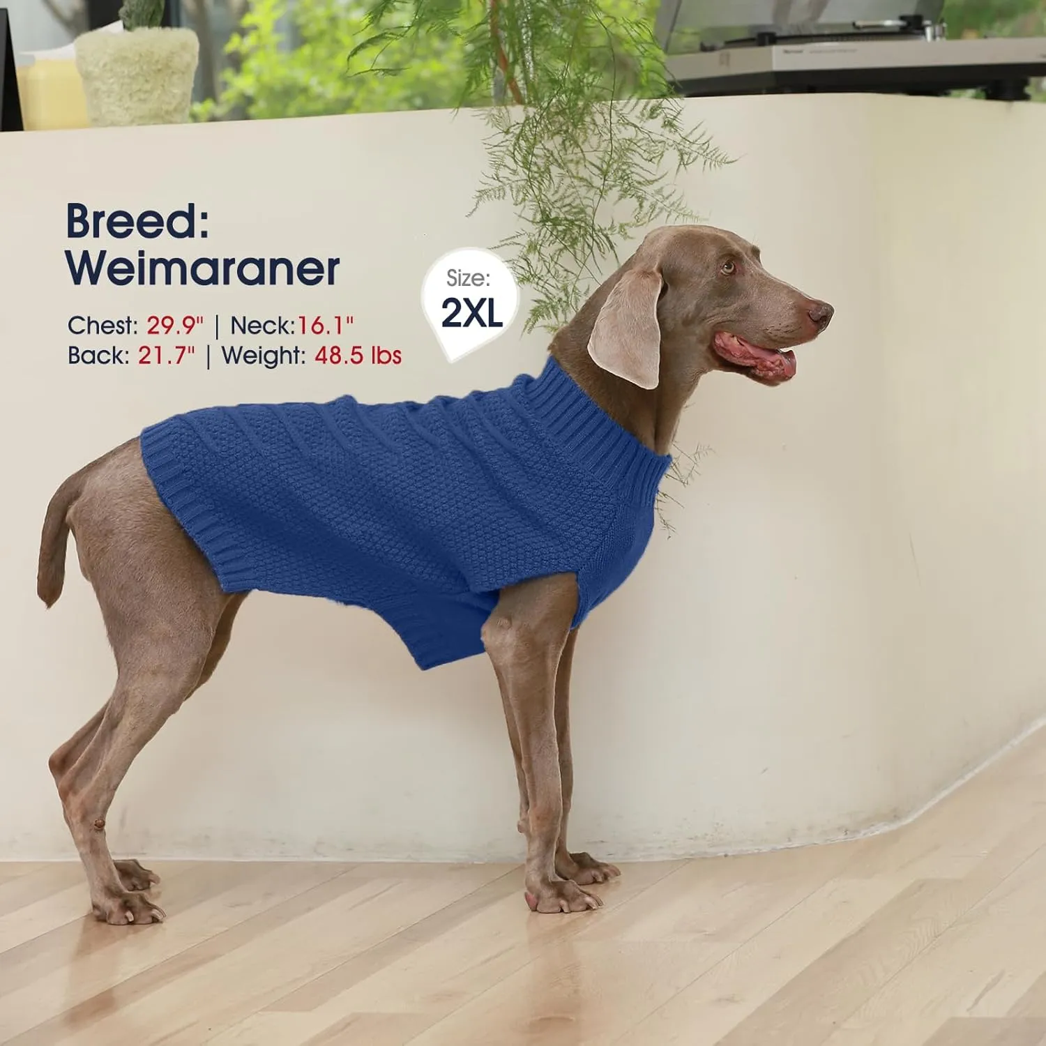IECOii Big Dog Sweater,XXXXL Dog Sweaters for Extra Large Dogs,Cold Weather Winter Coat for Large Size Dogs,Warm Fall Dog Clothes for Large Dogs Knitwear,Doberman,Great Dane Sweater,Blue-4XL