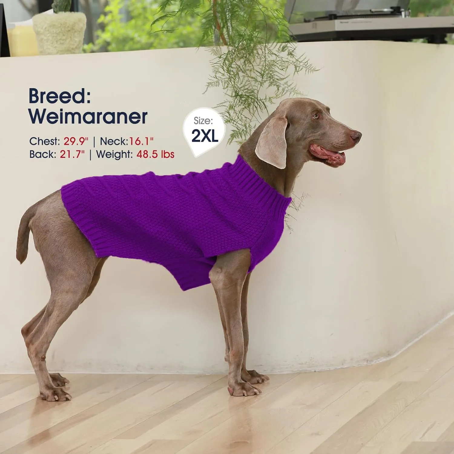 IECOii Purple Extra Large Dog Sweater, Warm Winter Coat for Large Dogs, Knitwear, Doberman, Great Dane, 4XL