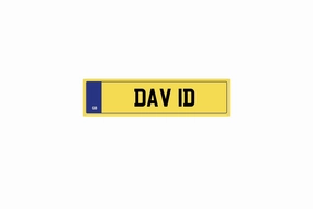 Private Plate DAV 1D
