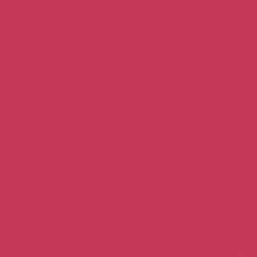 Pure Solids Cherry Lipgloss