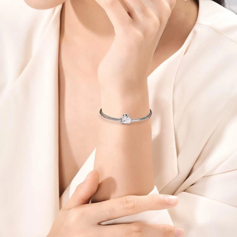 Queen Happy Birthday Hot Air Balloon Family Puppy Charm 925 Sterling Silver Charms for Bracelets and Necklaces Mother's Day Charms for Women