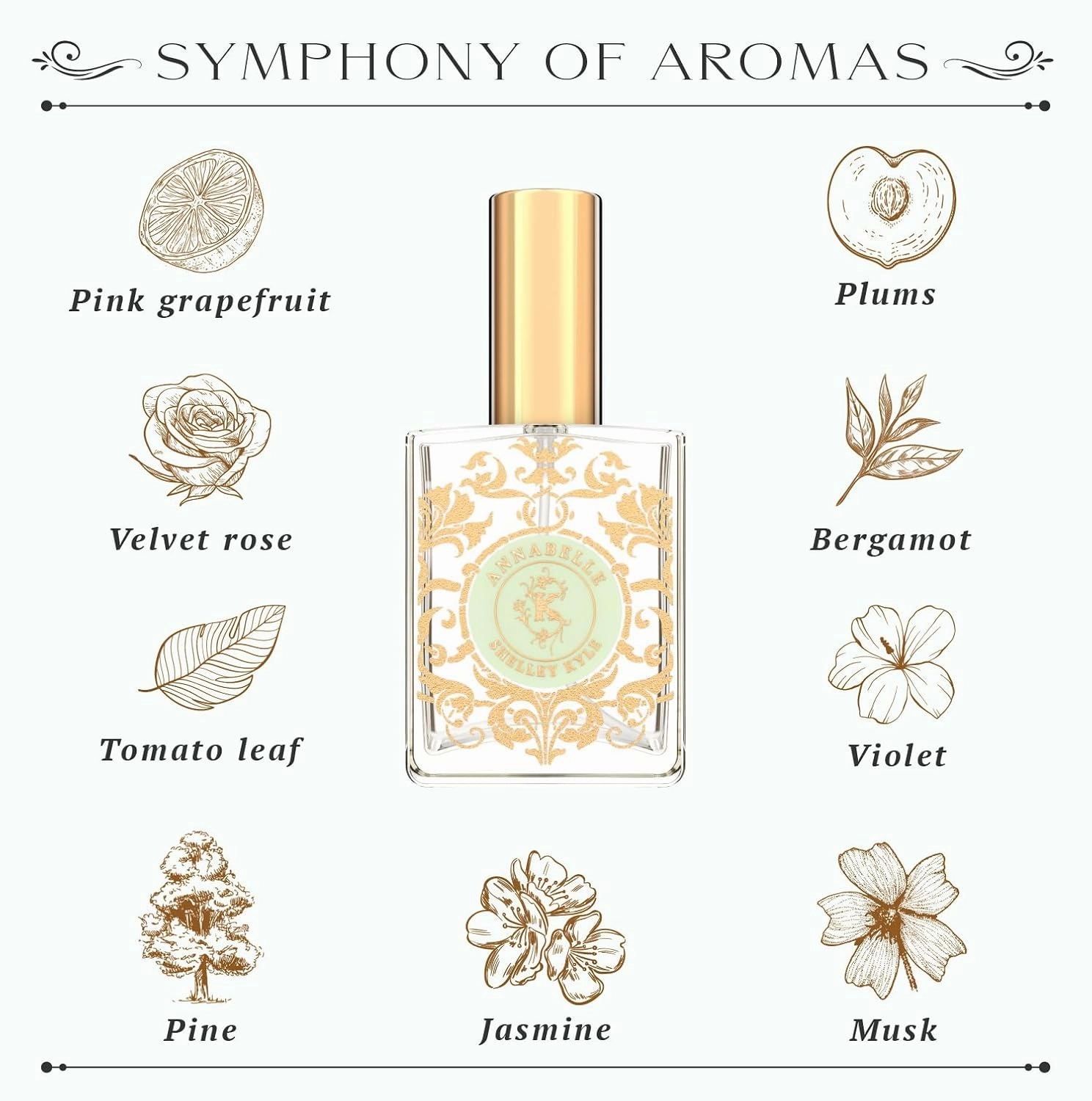 Shelley Kyle Unveiling Exquisite Fragrances with Travel Size Women's Perfume. Discover Enchanting and Tease Scents, Plus Floral Annabelle Perfume, 30 ml