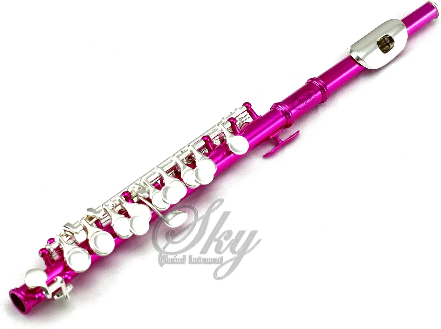 Sky(Paititi) Band Approved Hot Pink Laquer with Silver Keys Piccolo Key of C with Hard Case, Cloth, Cleaning Rod, Joint Greasae and Screw Driver,